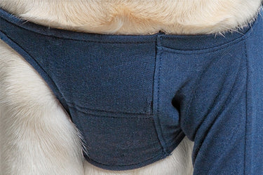 Taz Protective Leg Sleeve 3XSmall